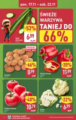 Aldi - gazetka promocyjna Pełny katalog! od poniedziałku 17.11 do soboty 22.11 - strona 2