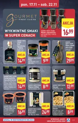 Aldi - gazetka promocyjna Pełny katalog! od poniedziałku 17.11 do soboty 22.11 - strona 17