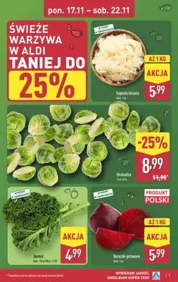 Aldi - gazetka promocyjna Pełny katalog! od poniedziałku 17.11 do soboty 22.11 - strona 7