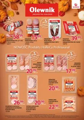 Selgros - gazetka promocyjna Katalog Markowe Produkty od czwartku 20.11 do środy 03.12 - strona 9