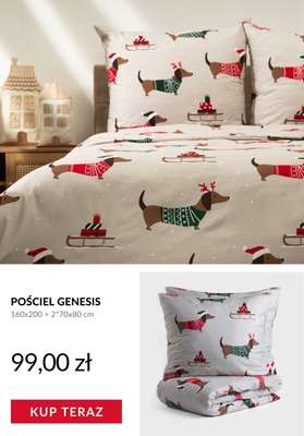 BLACK FRIDAY - gazetka promocyjna Homla | -40% na wszystko od poniedziałku 17.11 do czwartku 20.11 - strona 12