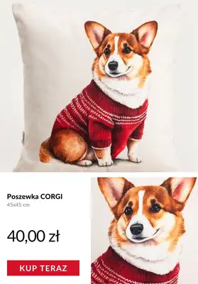 Homla - gazetka promocyjna -40% na wszystko od poniedziałku 17.11 do czwartku 20.11 - strona 4