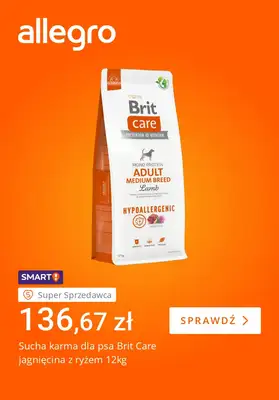 Allegro - gazetka promocyjna Black Weeks: więcej za mniej od wtorku 18.11 do poniedziałku 24.11 - strona 4