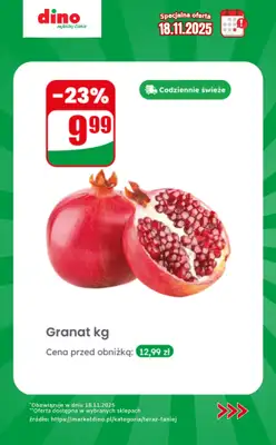 Dino - gazetka promocyjna Specjalna oferta na 18.11.2025 - promocje spoza gazetki od wtorku 18.11 do wtorku 18.11 - strona 3