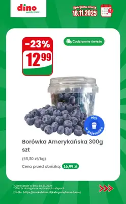 Dino - gazetka promocyjna Specjalna oferta na 18.11.2025 - promocje spoza gazetki od wtorku 18.11 do wtorku 18.11 - strona 2