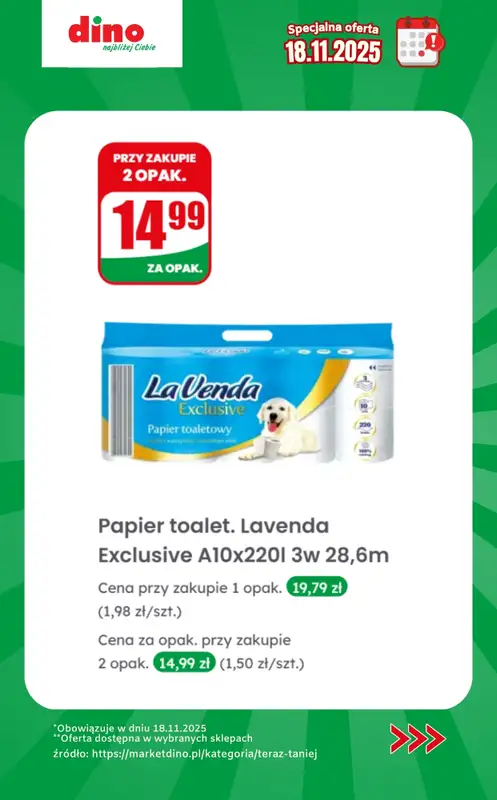 Dino - gazetka promocyjna Specjalna oferta na 18.11.2025 - promocje spoza gazetki od wtorku 18.11 do wtorku 18.11 - strona 10