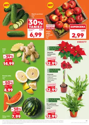 Kaufland - gazetka promocyjna Oferta Kaufland od czwartku 20.11 do środy 26.11 - strona 19