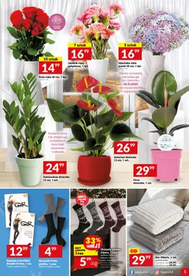 Twój Market - gazetka promocyjna Gazetka od środy 19.11 do wtorku 25.11 - strona 5