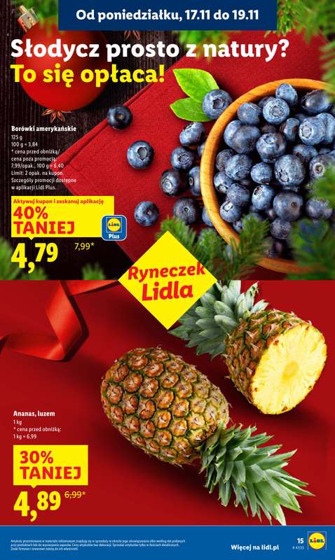 Lidl - gazetka promocyjna Oferta od poniedziałku od poniedziałku 17.11 do środy 19.11 - strona 17