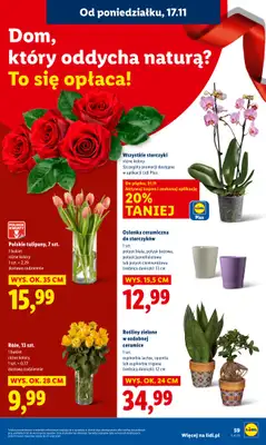 Lidl - gazetka promocyjna Oferta od poniedziałku od poniedziałku 17.11 do środy 19.11 - strona 61