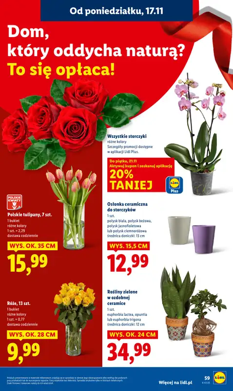 Lidl - gazetka promocyjna Oferta od poniedziałku od poniedziałku 17.11 do środy 19.11 - strona 61