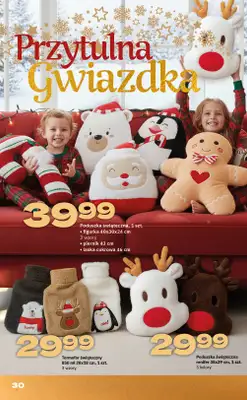 Twój Market - gazetka promocyjna Katalog świąteczny 2025 od wtorku 18.11 do soboty 27.12 - strona 30
