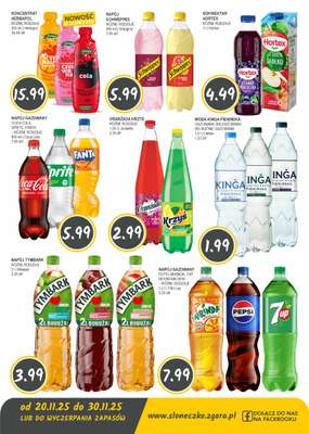 Słoneczko - gazetka promocyjna Gazetka od czwartku 20.11 do niedzieli 30.11 - strona 10