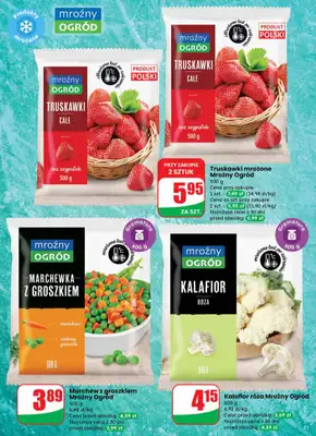 Dino - gazetka promocyjna Gazetka od środy 19.11 do wtorku 25.11 - strona 31