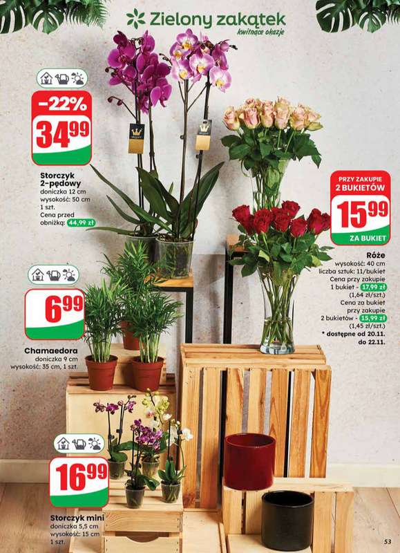 Dino - gazetka promocyjna Gazetka od środy 19.11 do wtorku 25.11 - strona 53