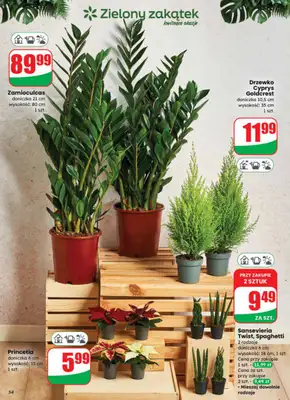 Dino - gazetka promocyjna Gazetka od środy 19.11 do wtorku 25.11 - strona 54