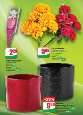 Dino - gazetka promocyjna Gazetka od środy 19.11 do wtorku 25.11 - strona 55