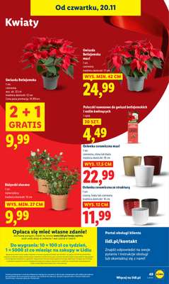 Lidl - gazetka promocyjna Oferta od czwartku od czwartku 20.11 do soboty 22.11 - strona 53