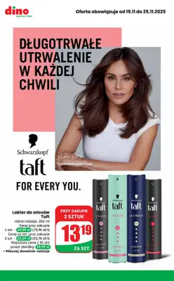 Dino - gazetka promocyjna Najlepsze promocje! od środy 19.11 do wtorku 25.11 - strona 10