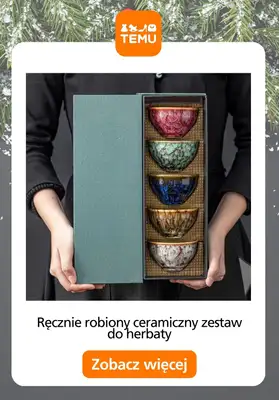 Temu - gazetka promocyjna Artykuły gastronomiczne od środy 19.11  - strona 4