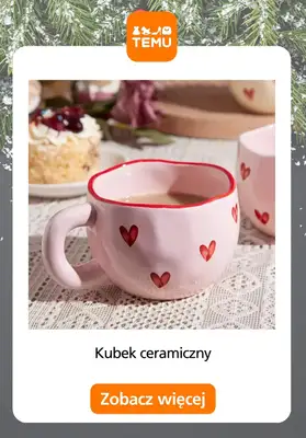 Temu - gazetka promocyjna Artykuły gastronomiczne od środy 19.11  - strona 6