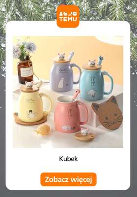 Temu - gazetka promocyjna Artykuły gastronomiczne od środy 19.11  - strona 12