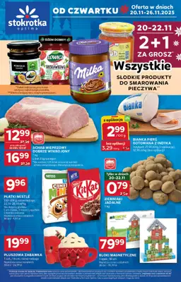 Stokrotka - gazetka promocyjna Gazetka Optima od czwartku 20.11 do środy 26.11