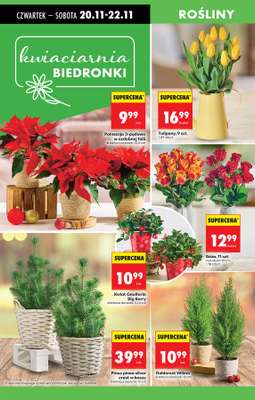 Biedronka - gazetka promocyjna Od czwartku, Z ladą tradycyjną od czwartku 20.11 do środy 26.11 - strona 17