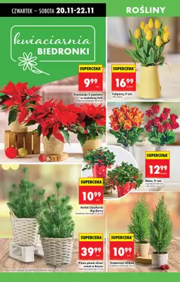 Biedronka - gazetka promocyjna Od czwartku, Z ladą tradycyjną od czwartku 20.11 do środy 26.11 - strona 17