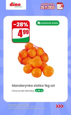 Dino - gazetka promocyjna Specjalna oferta na 20.11.2025 - promocje spoza gazetki od czwartku 20.11 do czwartku 20.11 - strona 2