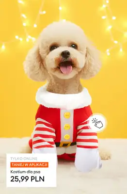 Sinsay - gazetka promocyjna BLACK DAYS do -50%! Nie przegap, teraz jeszcze taniej! od czwartku 20.11  - strona 3