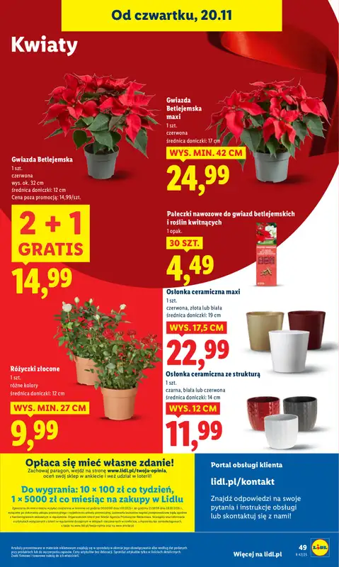 Lidl - gazetka promocyjna Oferta od czwartku od czwartku 20.11 do soboty 22.11 - strona 53