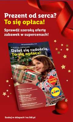 Lidl - gazetka promocyjna Katalog od poniedziałku 24.11 do soboty 29.11 - strona 63
