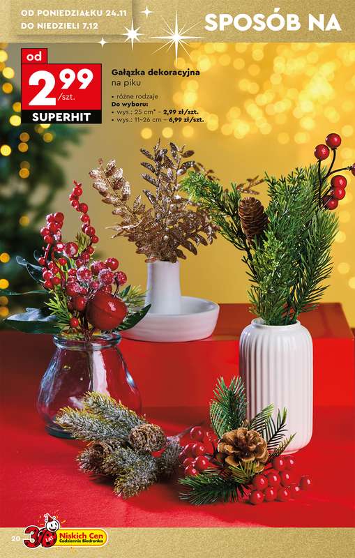 Biedronka - gazetka promocyjna Okazje tygodnia od 22.11 od soboty 22.11 do środy 10.12 - strona 22