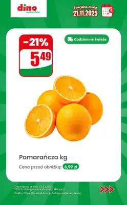 Dino - gazetka promocyjna Specjalna oferta na 21.11.2025 - promocje spoza gazetki od piątku 21.11 do piątku 21.11 - strona 3