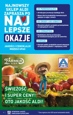 Aldi - gazetka promocyjna TARNOBRZEG: WIELKIE OTWARCIE już w środę: 26.11! od środy 26.11 do soboty 29.11 - strona 8