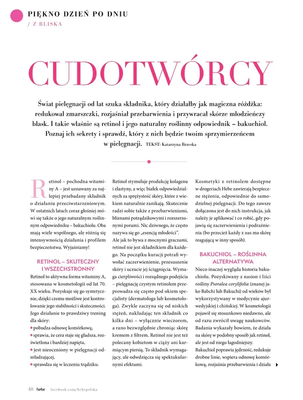 Hebe - gazetka promocyjna Magazyn od soboty 01.11 do środy 31.12 - strona 40