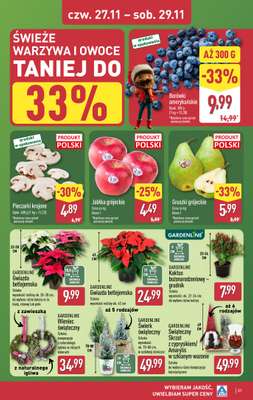 Aldi - gazetka promocyjna Pełny katalog! od poniedziałku 24.11 do soboty 29.11 - strona 31