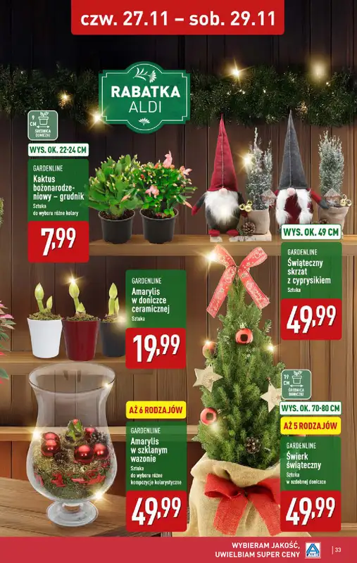 Aldi - gazetka promocyjna Pełny katalog! od poniedziałku 24.11 do soboty 29.11 - strona 33