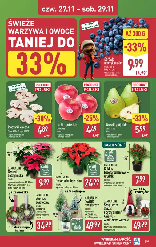 Aldi - gazetka promocyjna Pełny katalog! od poniedziałku 24.11 do soboty 29.11 - strona 31