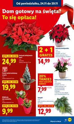 Lidl - gazetka promocyjna Oferta od poniedziałku od poniedziałku 24.11 do środy 26.11 - strona 65