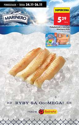 Biedronka - gazetka promocyjna Od poniedziałku od poniedziałku 24.11 do soboty 29.11 - strona 46