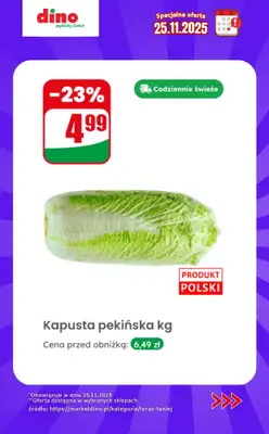 Dino - gazetka promocyjna Specjalna oferta na 25.11.2025 - promocje spoza gazetki od wtorku 25.11 do wtorku 25.11 - strona 6