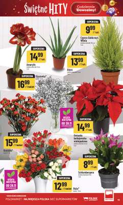 POLOmarket - gazetka promocyjna Gazetka od środy 26.11 do wtorku 02.12 - strona 19