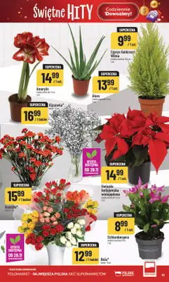 POLOmarket - gazetka promocyjna Gazetka od środy 26.11 do wtorku 02.12 - strona 19