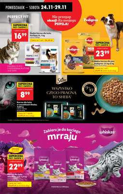 Biedronka - gazetka promocyjna Od poniedziałku od poniedziałku 24.11 do soboty 29.11 - strona 86