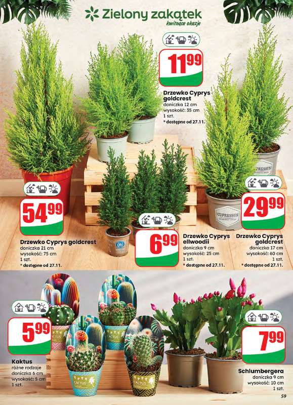 Dino - gazetka promocyjna Gazetka od środy 26.11 do wtorku 02.12 - strona 59