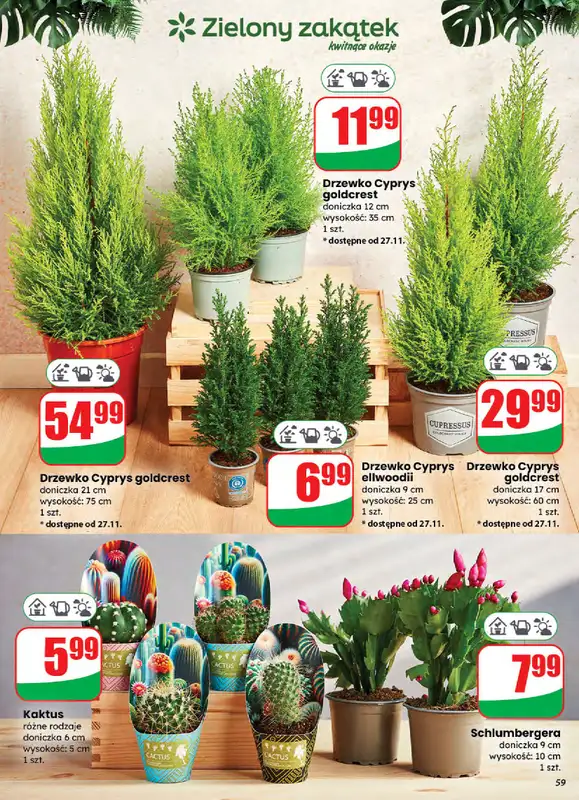 Dino - gazetka promocyjna Gazetka od środy 26.11 do wtorku 02.12 - strona 59