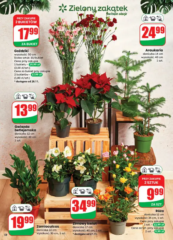 Dino - gazetka promocyjna Gazetka od środy 26.11 do wtorku 02.12 - strona 58