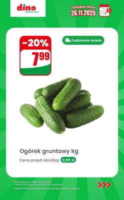 Dino - gazetka promocyjna Specjalna oferta na 26.11.2025 - promocje spoza gazetki od środy 26.11 do środy 26.11 - strona 3